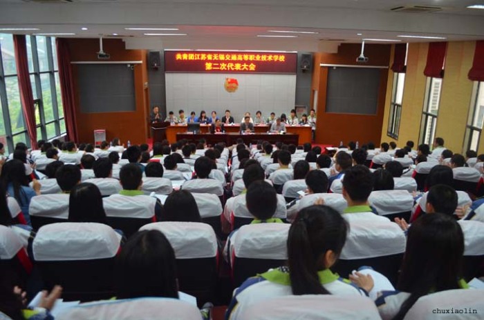 共青团新利体育网页版入口第二次代表大会隆重举行