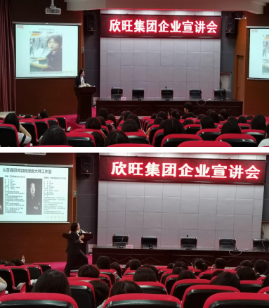 凝心聚力促就业，齐心共筑展未来